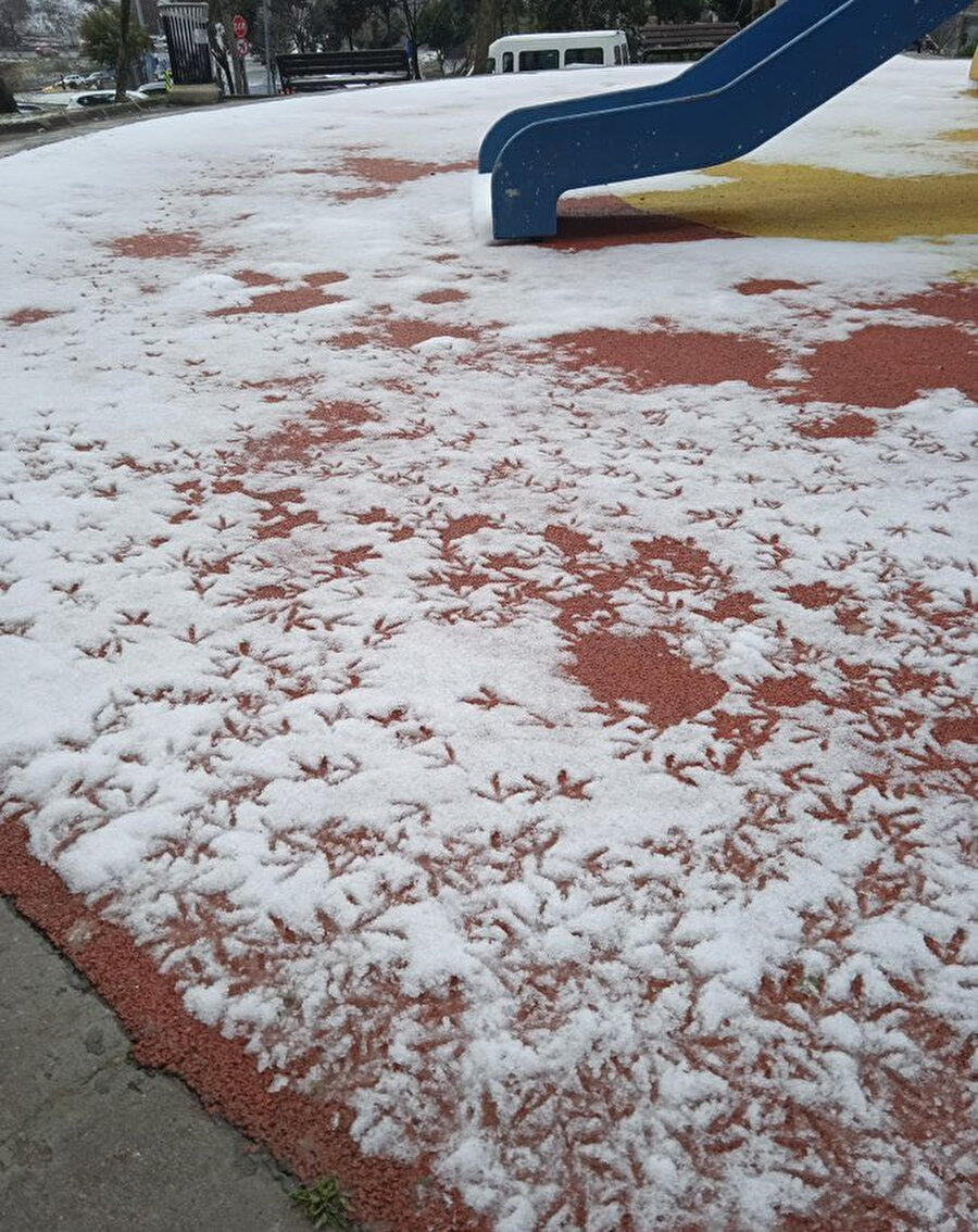 Kuş burada telefon konuşması yapmış