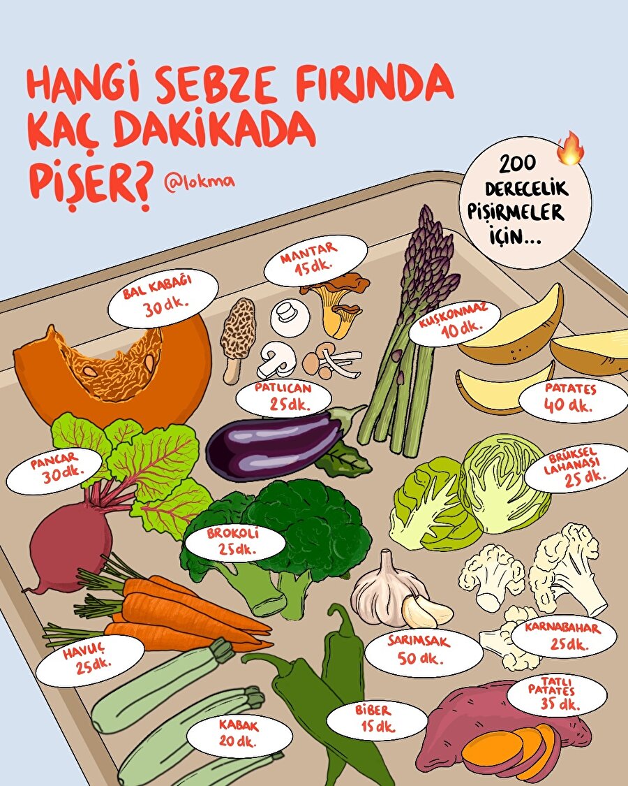 HANGİ SEBZE FIRINDA KAÇ DAKİKA PİŞER?