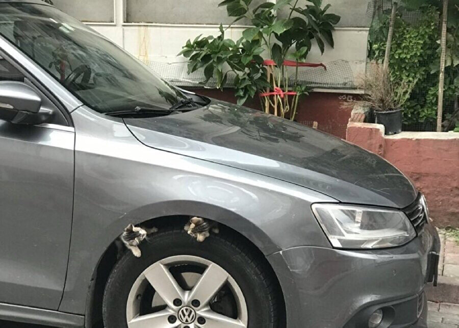 Konuşmak isteyen bir fırsatını buluyor