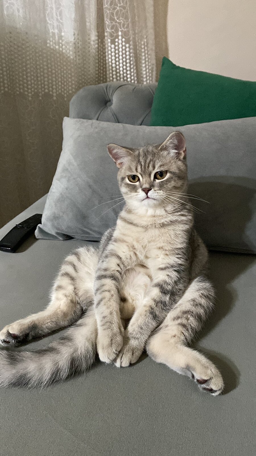 "Neden sırtım ağrıyor?" diye düşünürken gün boyu bizim oturma şeklimiz