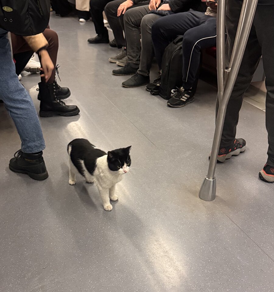 Nereye gittiğini bilen kararlı biri