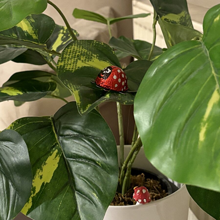 Annelerin dokunduğu her şeyi güzelleştirmesi