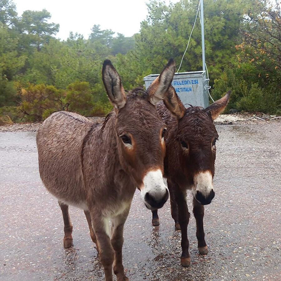 En yakın arkadaşa biz diye göndermelik fotoğraf