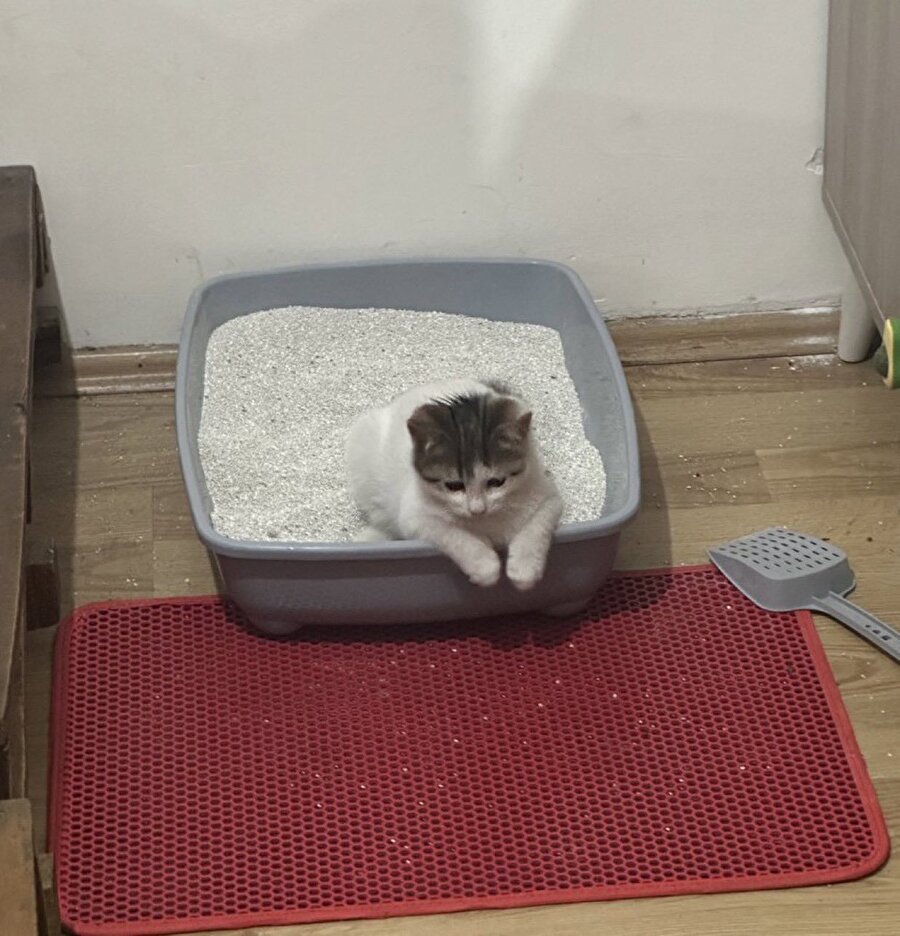 Beklenmedik anlarda gelen o overthink