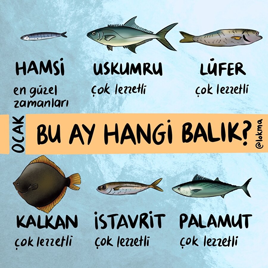 Bu ay hangi balık?