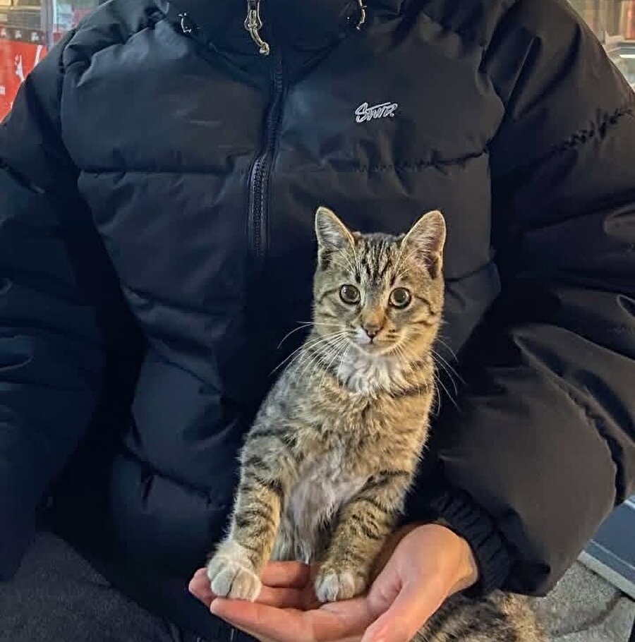 Duruşunun mükemmeliği