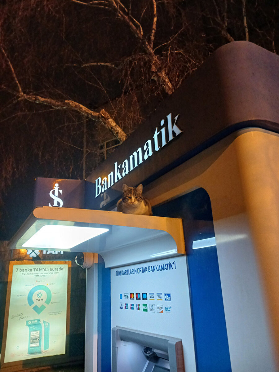 Sen oraya nasıl çıktın?