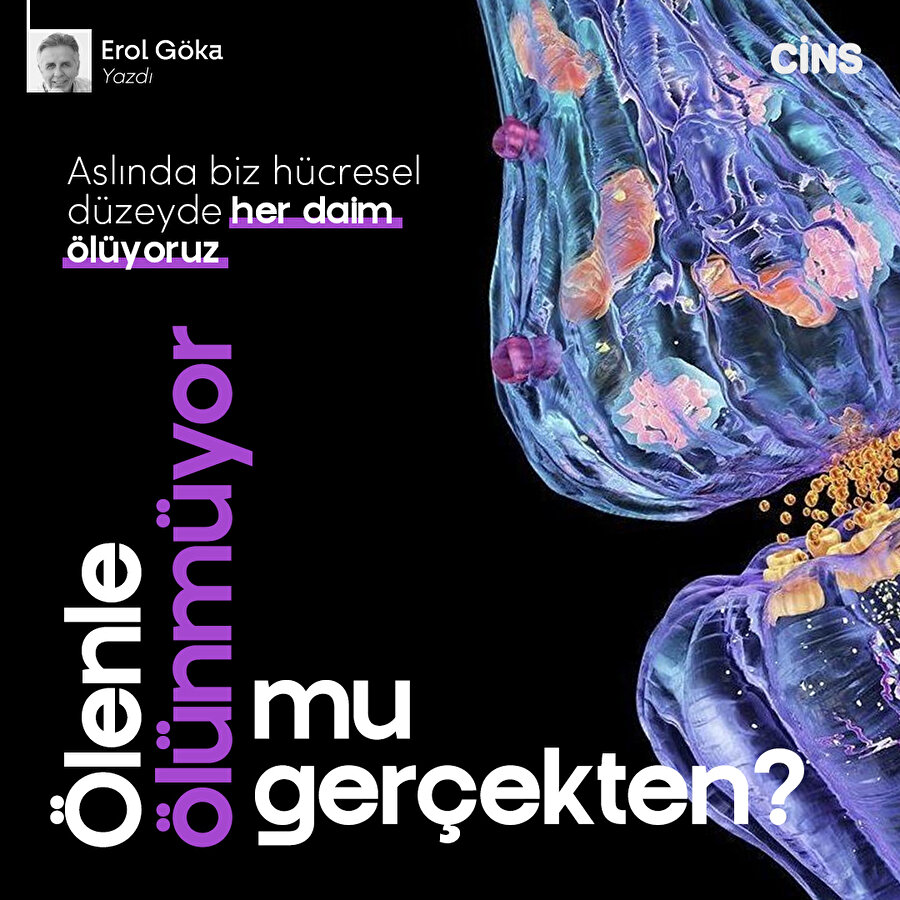 Ölenle Ölünmüyor Mu Gerçekten