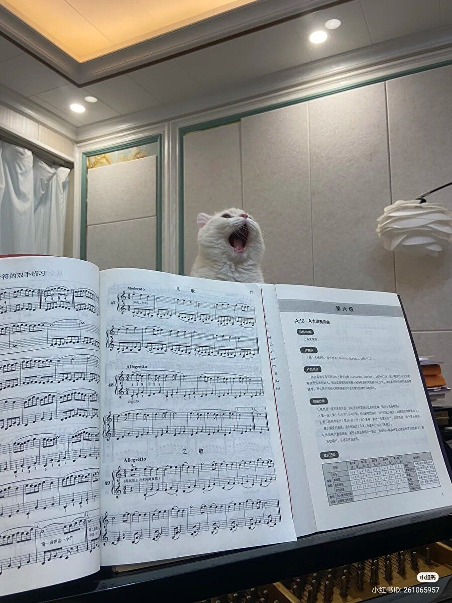 Söylediği şarkıyı herkesin bildiğini düşünüyoruz