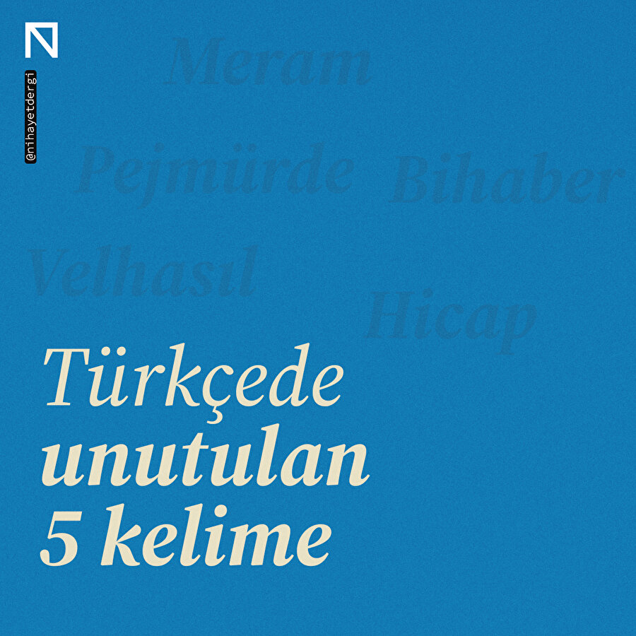 Türkçede unutulan 5 kelime 📚
