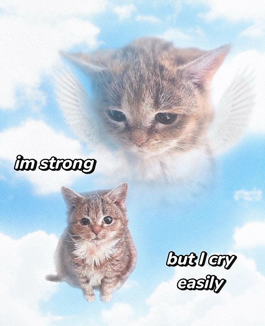 Bizim kişisel özellikler