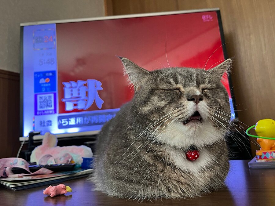 Öğle yemeğinden sonra bilgisayar ekranına yansıyan görüntümüz