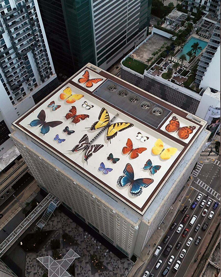 Mantra’nın duvar resimleri: Binalara hayat veren dev kelebek koleksiyonları 🦋