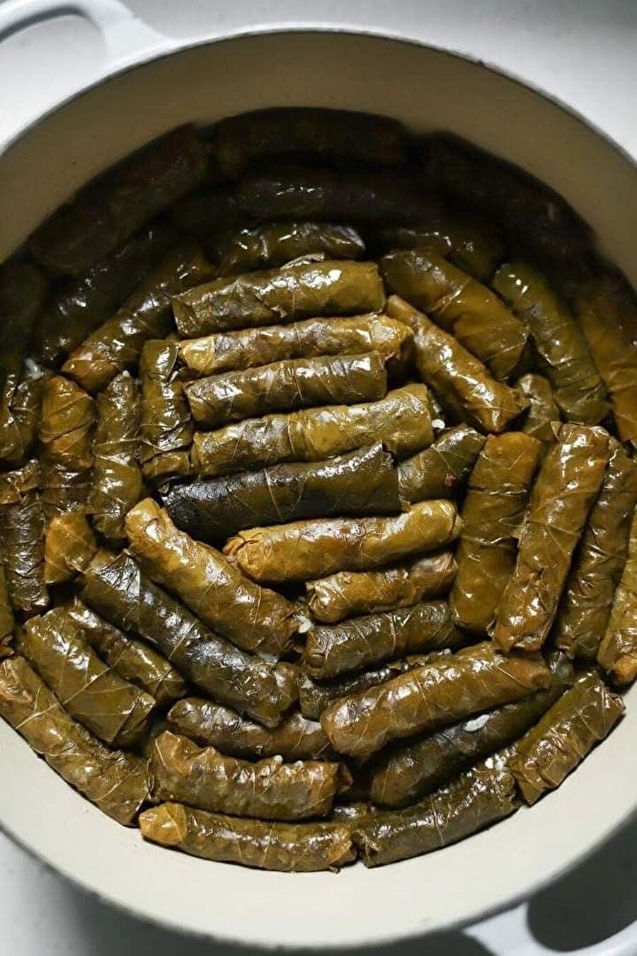 Dünyanın en güzel görüntüsü
