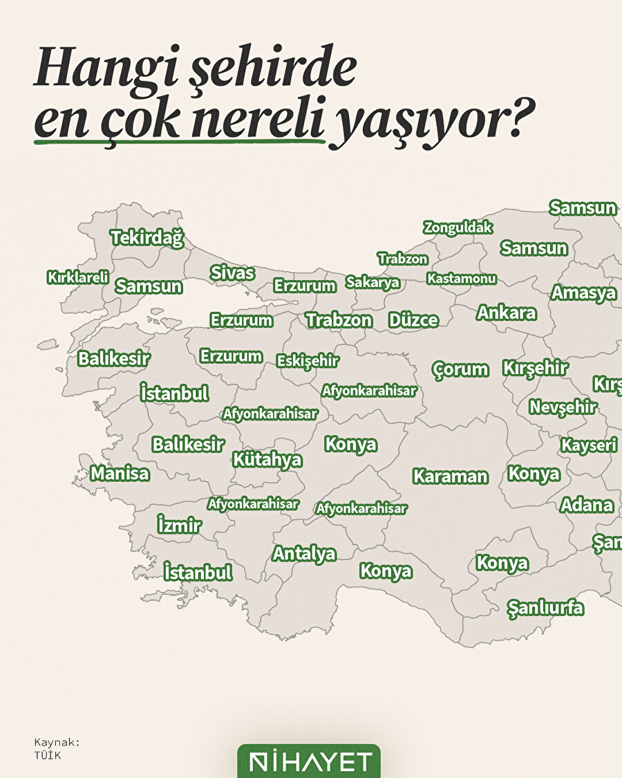 🔍 Hangi şehirde en çok nerenin insanı yaşıyor?