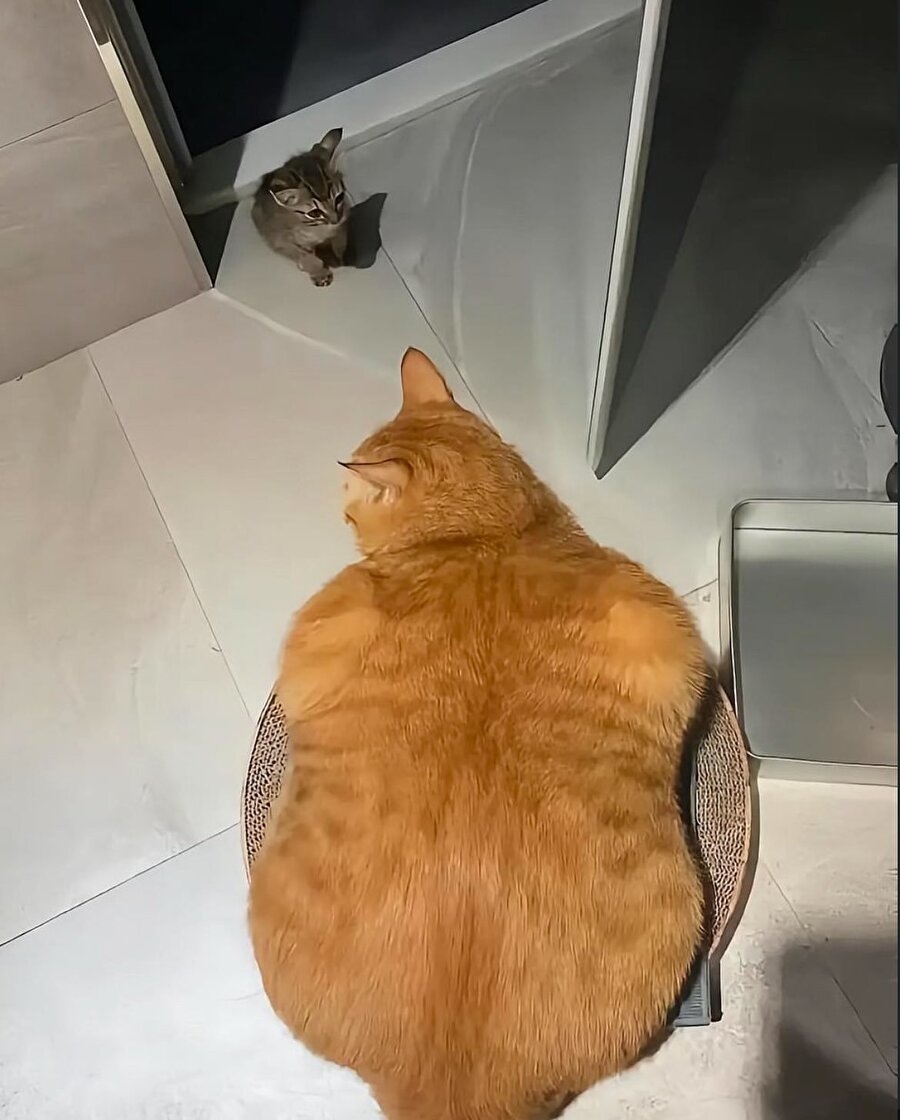 Yemekten kalktığımızda hissettiğimiz şişkinlik seviyesi