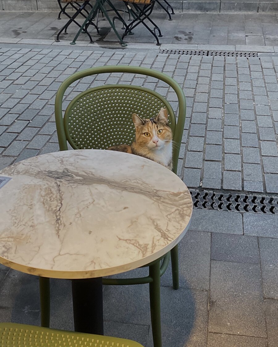 Dünyanın en iyi date'i