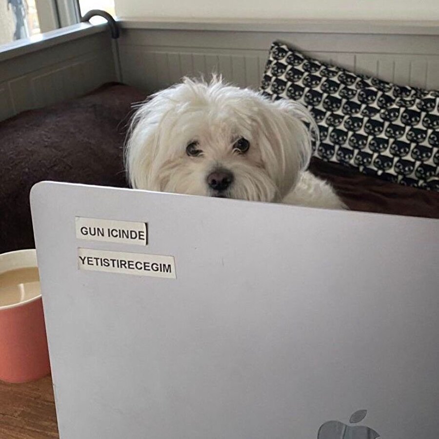 Mesai saatlerinde duvara yansıyan görüntümüz