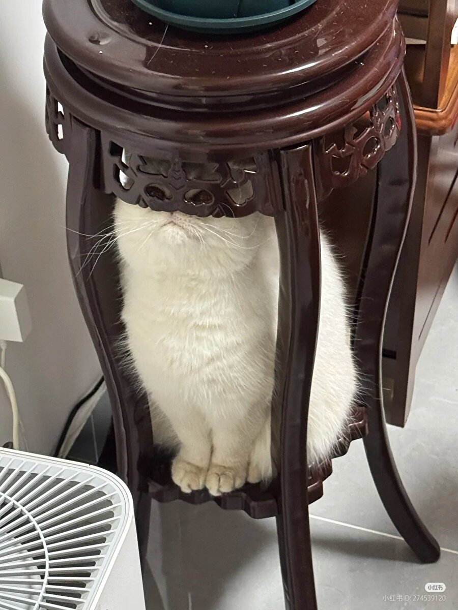 Şimdi biz bunu nasıl sobeleyelim