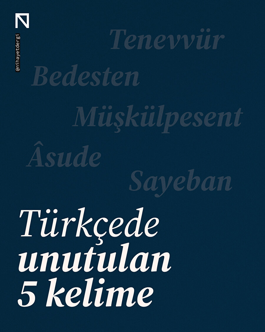 Türkçede unutulan 5 kelime 📚