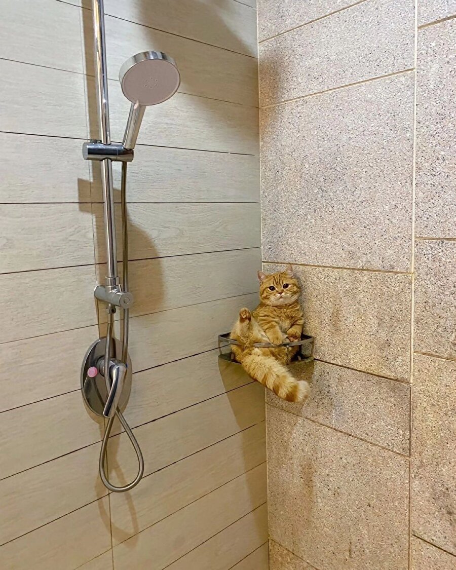 Lifin linkini alabilir miyiz?