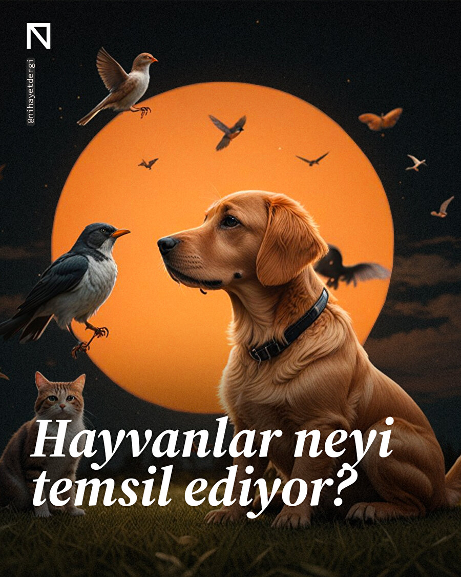 🐾 Hayvanlar ve Simgeleri 🐾