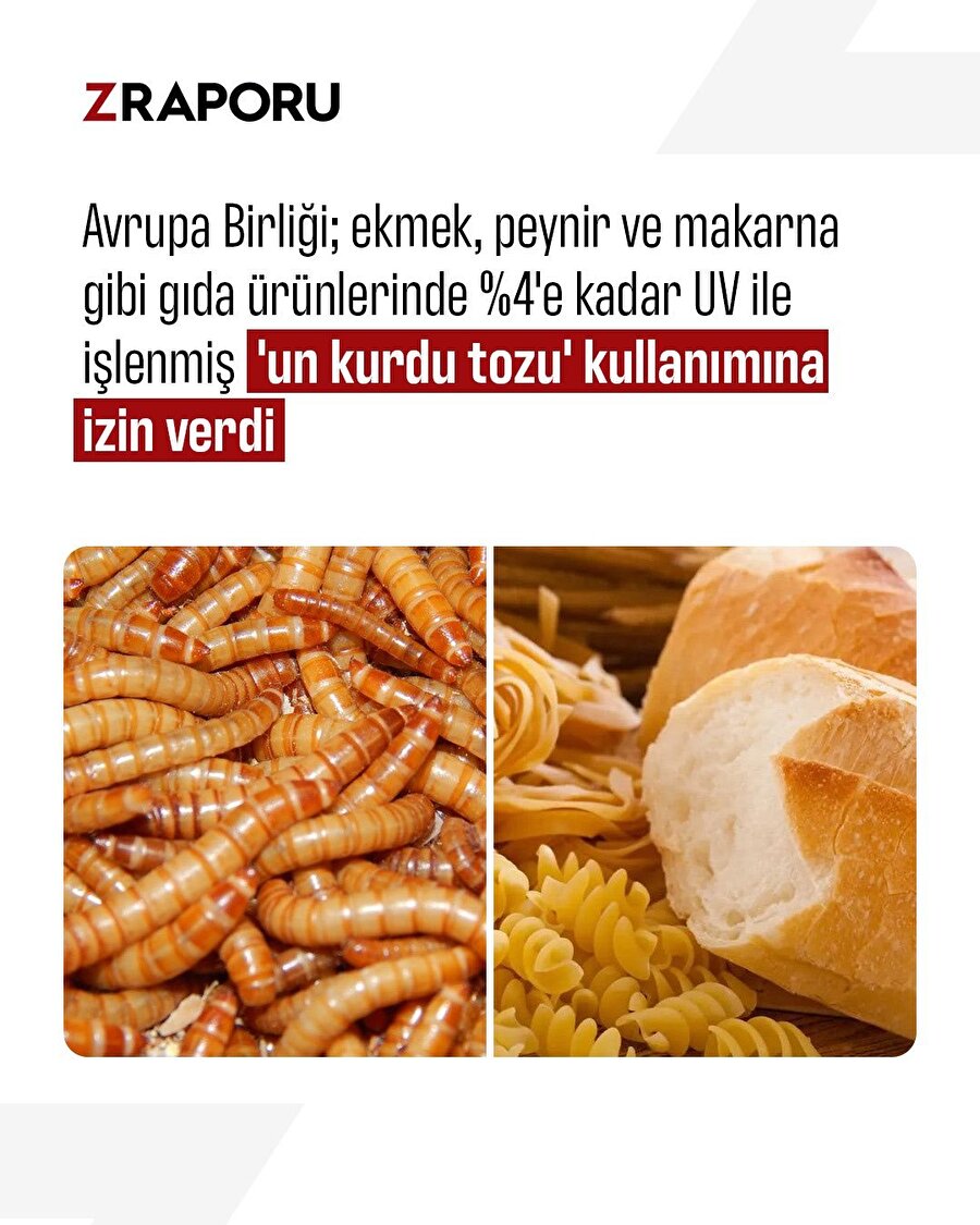 AB'den 'un kurdu' kullanımına izin 