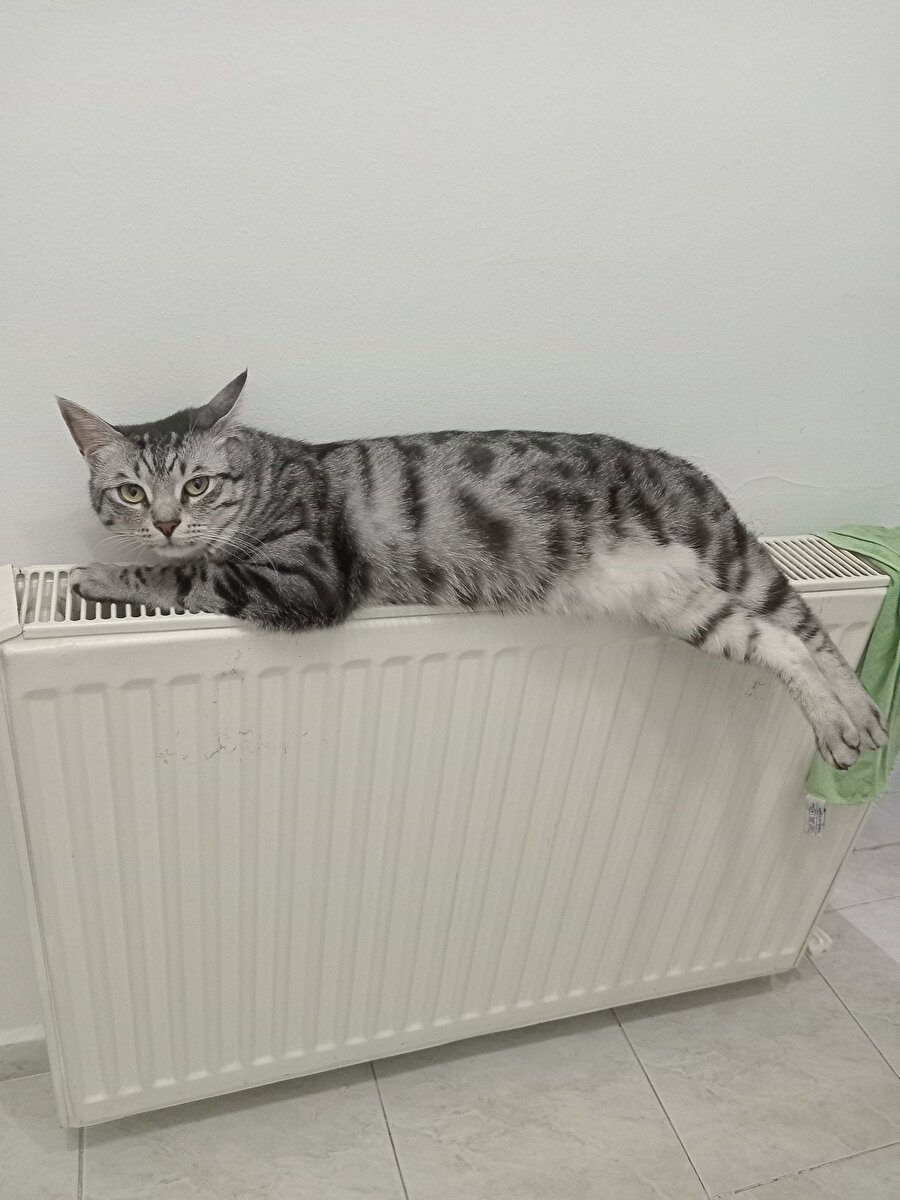 Şöyle bir konfor alanına ihtiyacımız var