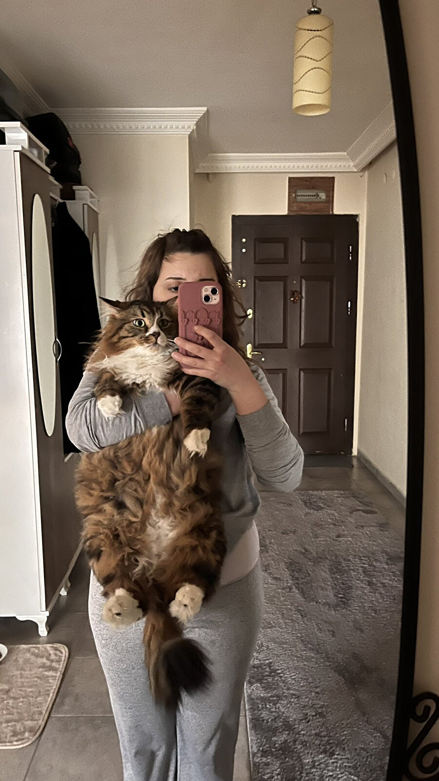 Bu kedi daha ne kadar büyüyecek?