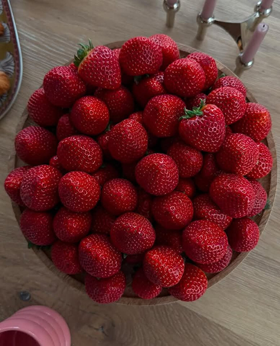 Dünyanın en iyi görüntüsü