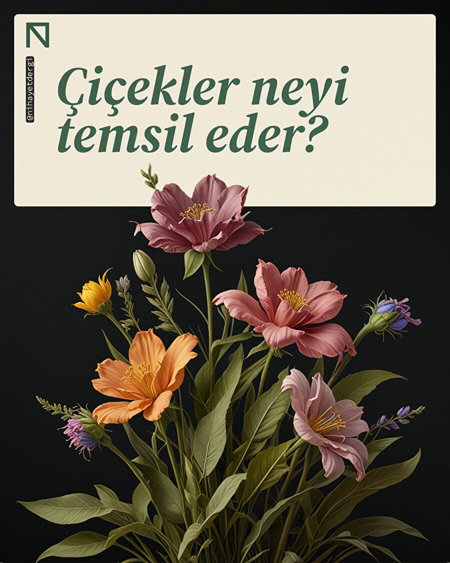 Çiçekler neyi temsil ediyor?