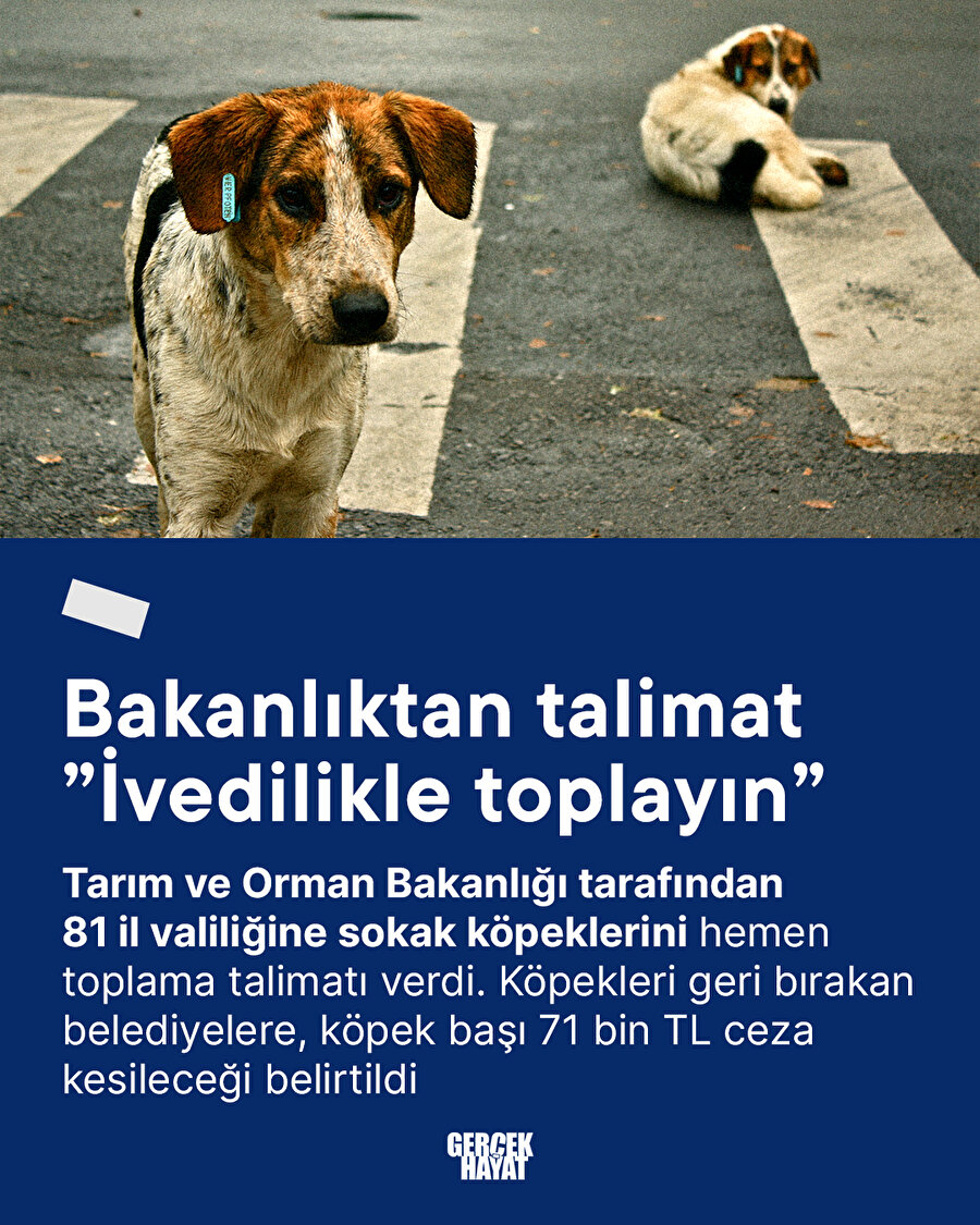 Tarım ve Orman Bakanlığı 81 il valiliğine talimat gönderdi