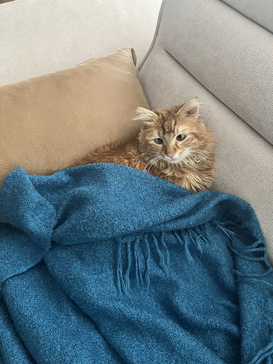 Olmak istediğimiz kişi