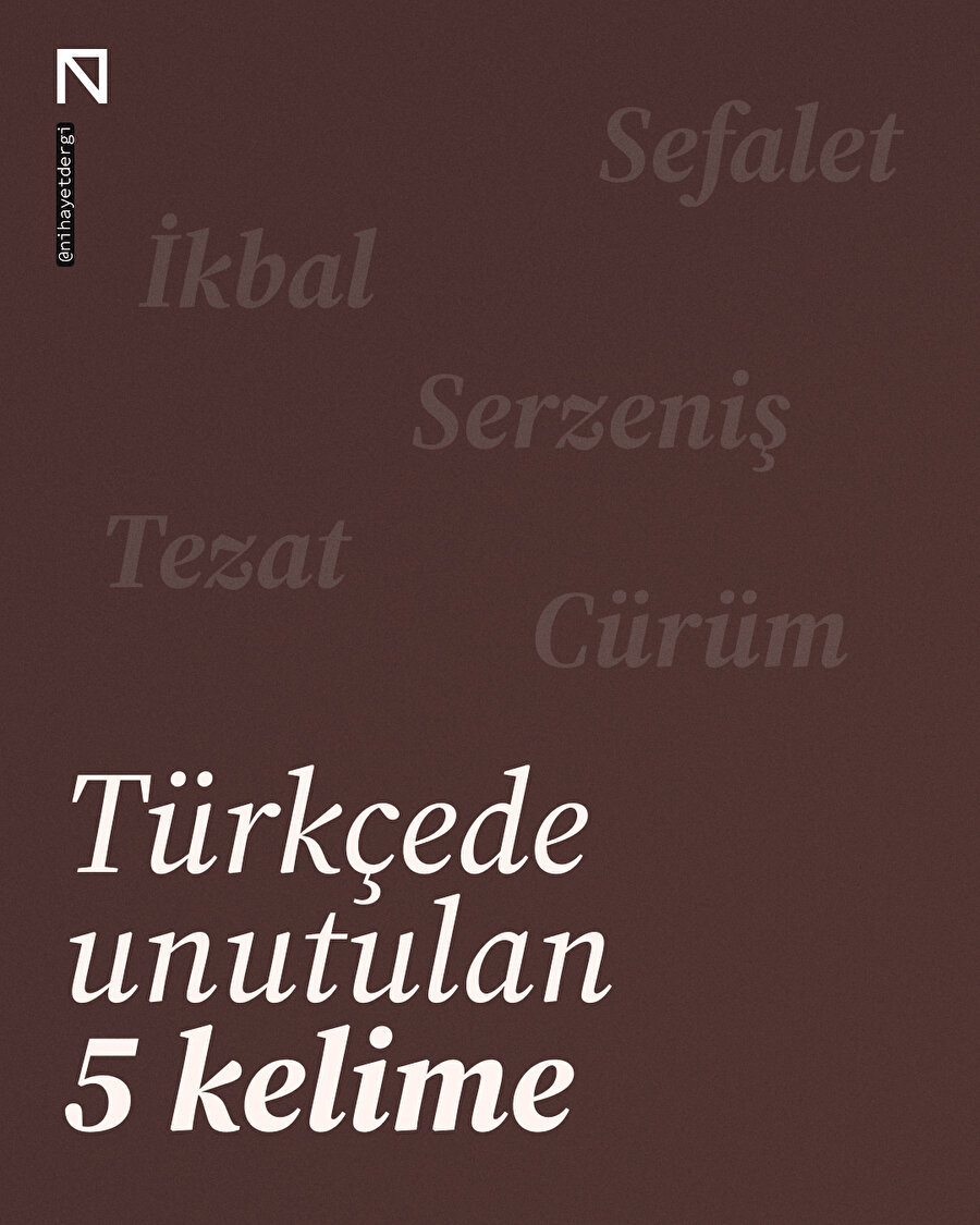 📖 Türkçede Unutulan 5 Kelime