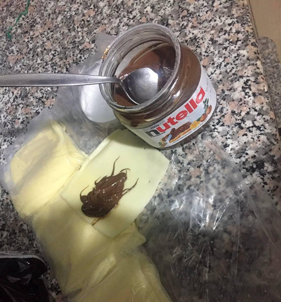 İlk bakışta hamamböceği görüyorsunuz