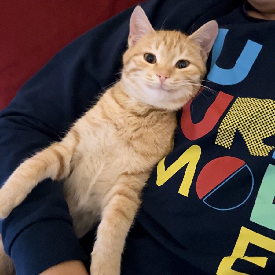 Sempatik ve farkında