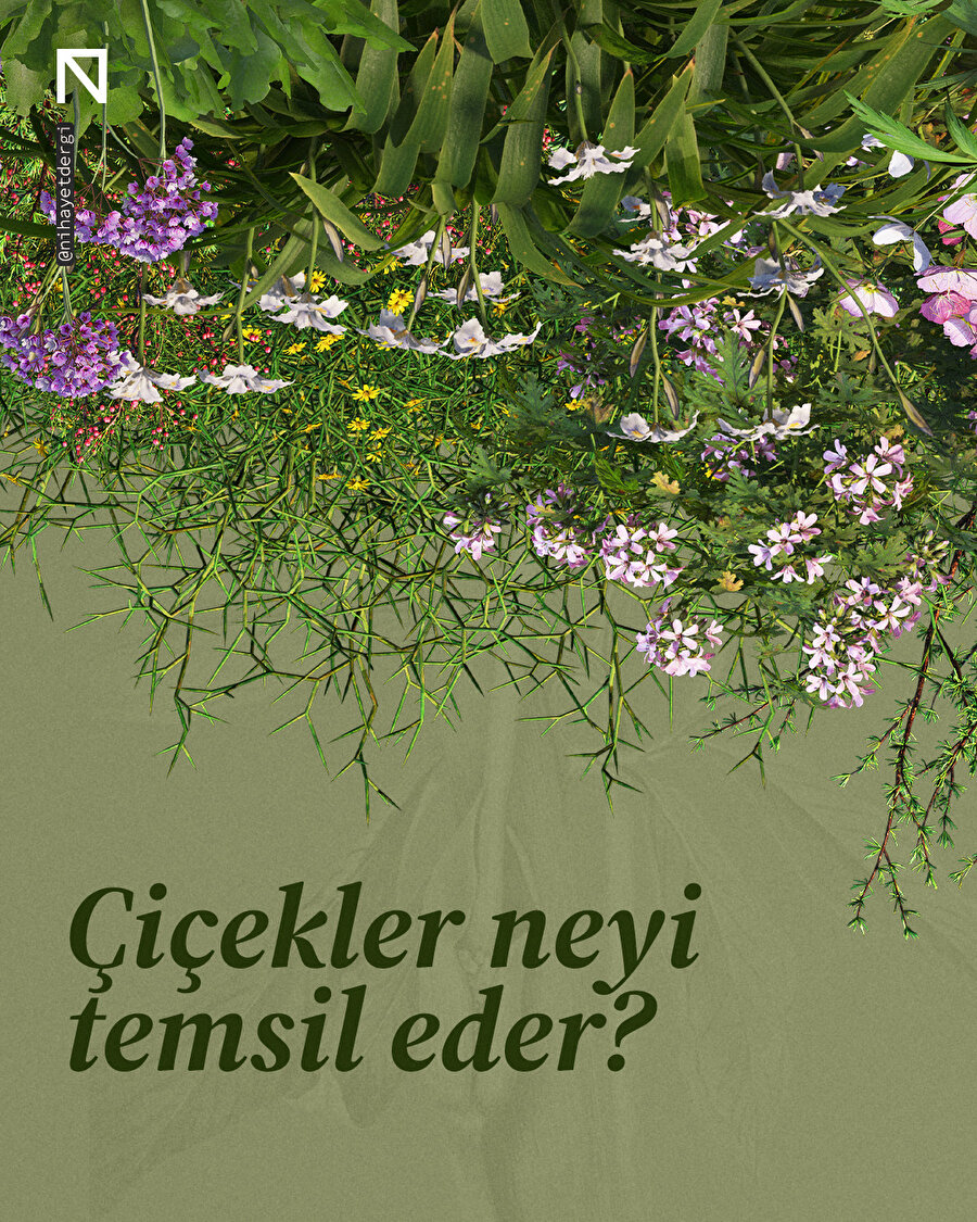 🌸 Çiçekler neyi temsil eder? 🌿✨