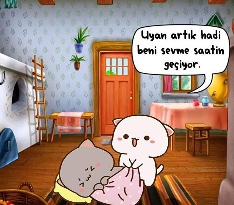 Hiç kimse: Sabahları kediler: