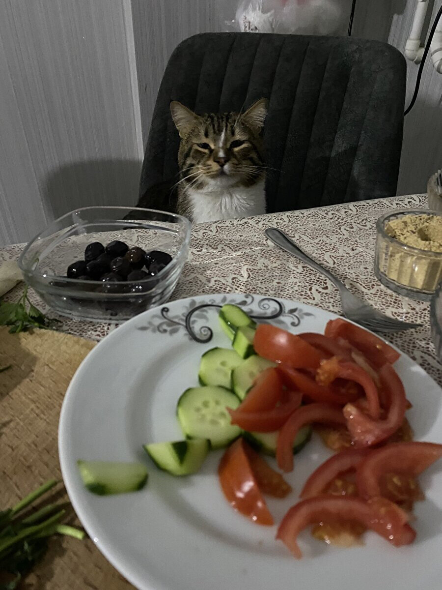 Yaramıyorsa tutma kardeşim!