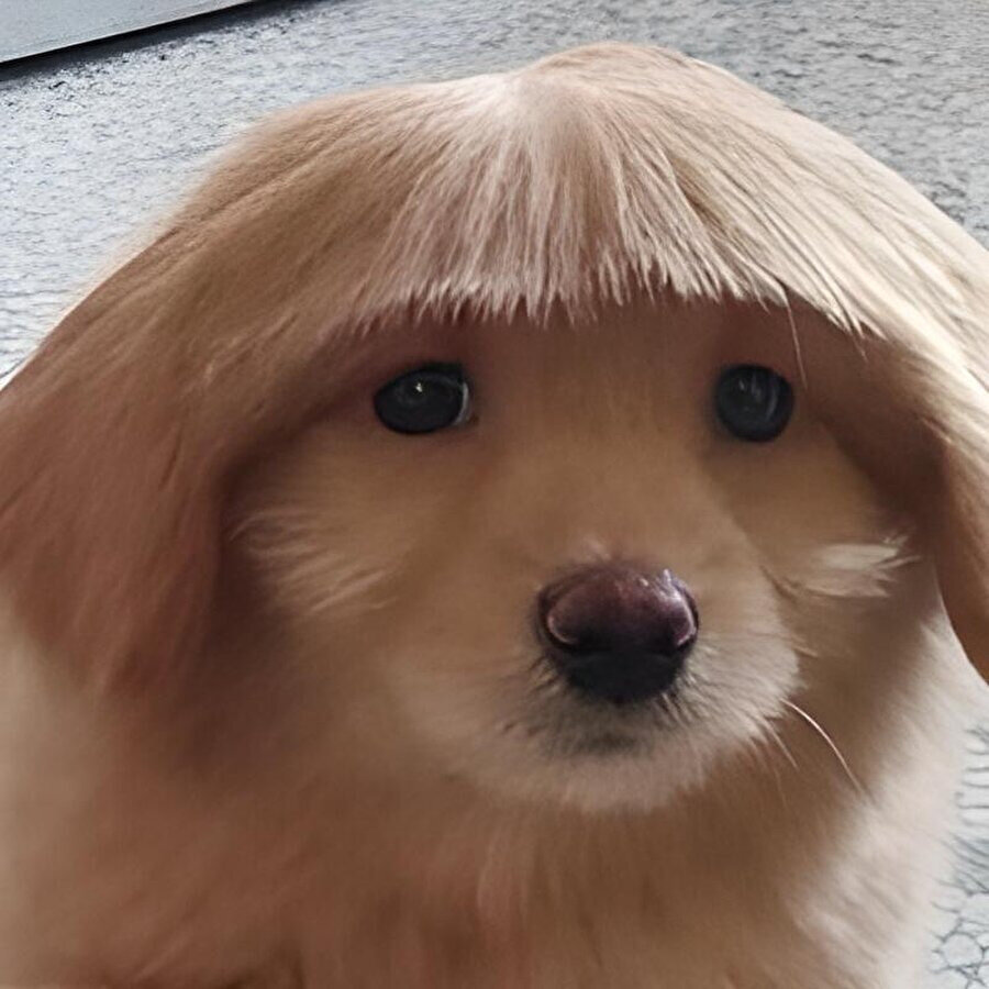 Başarısız bir kahkül denemesi