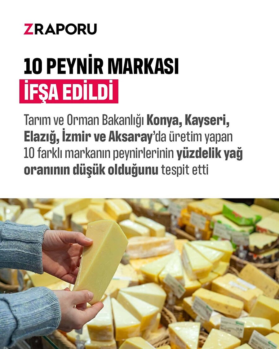 10 Peynir Markası ifşa edildi 