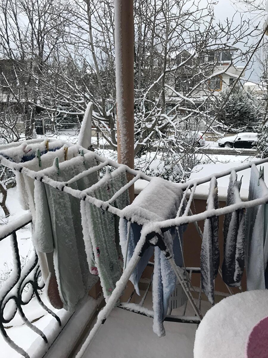 Bizim beynin çalışma şekli