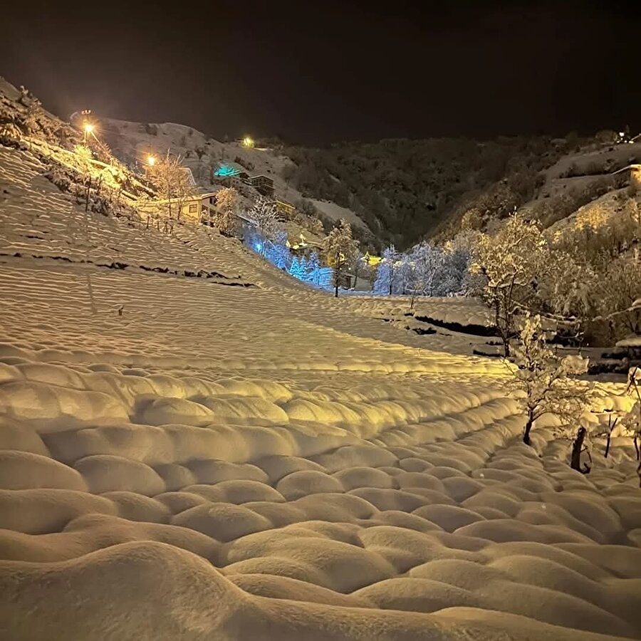 Marshmallow tarlası