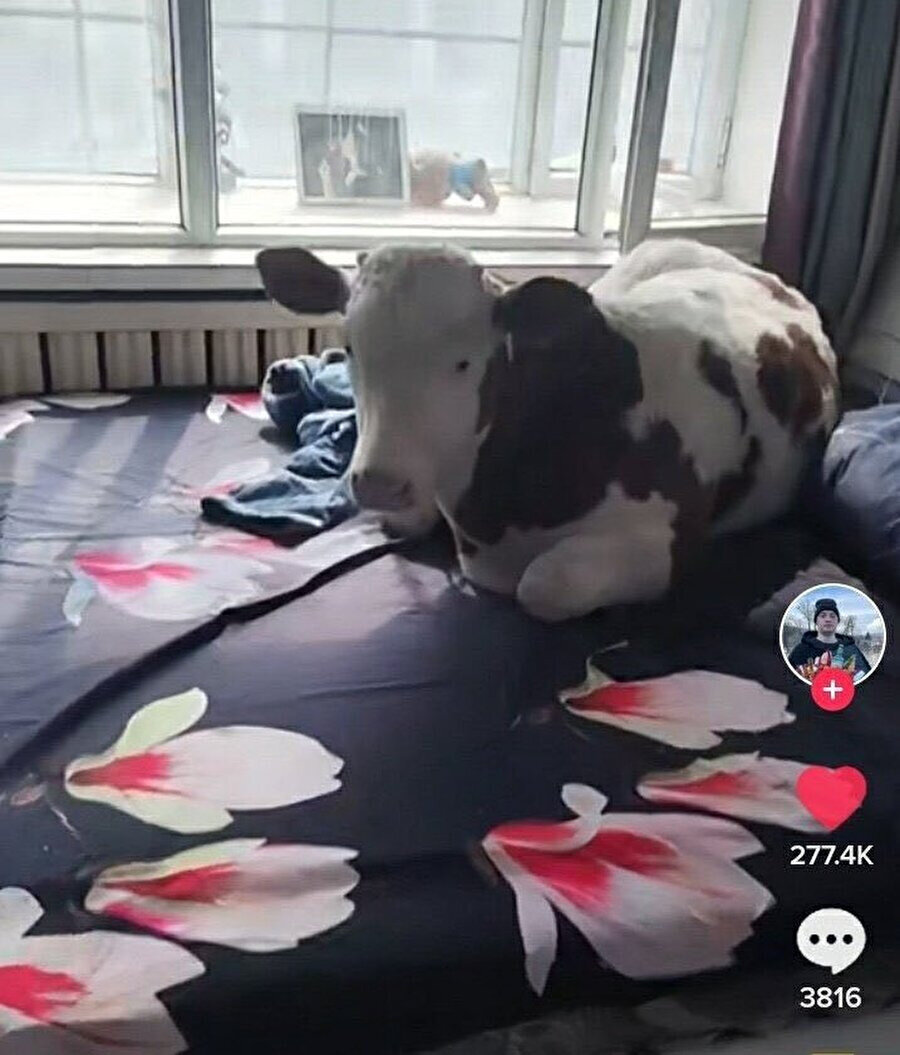 Odamın kapısı açılınca karşılaşılan manzara