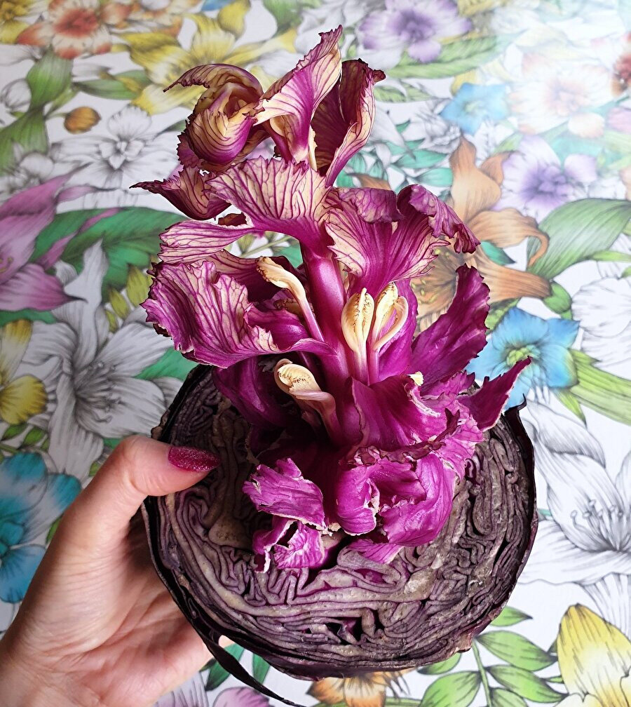 "Bunları biliyor muydunuz?" köşemizde bugün