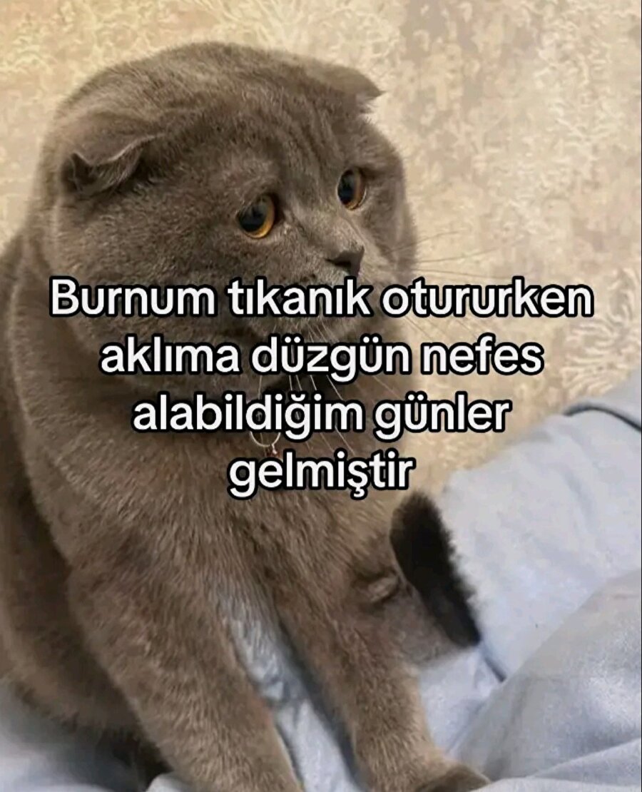 Tam olarak budur