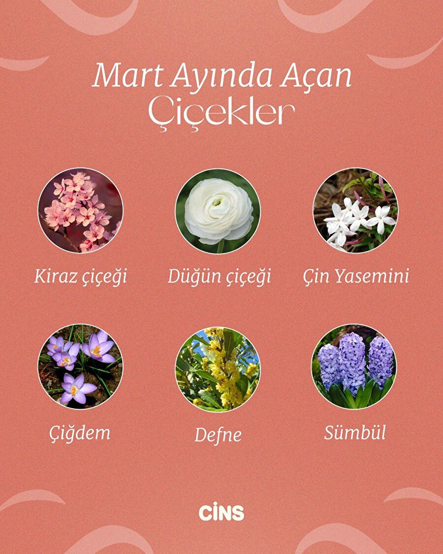 Mart ayında açan çiçekler💐