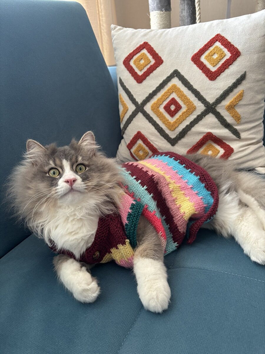 Onlardan moda dersi almamız lazım