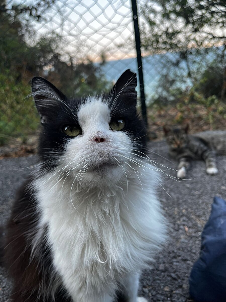 Senin adın Voldemort olsun