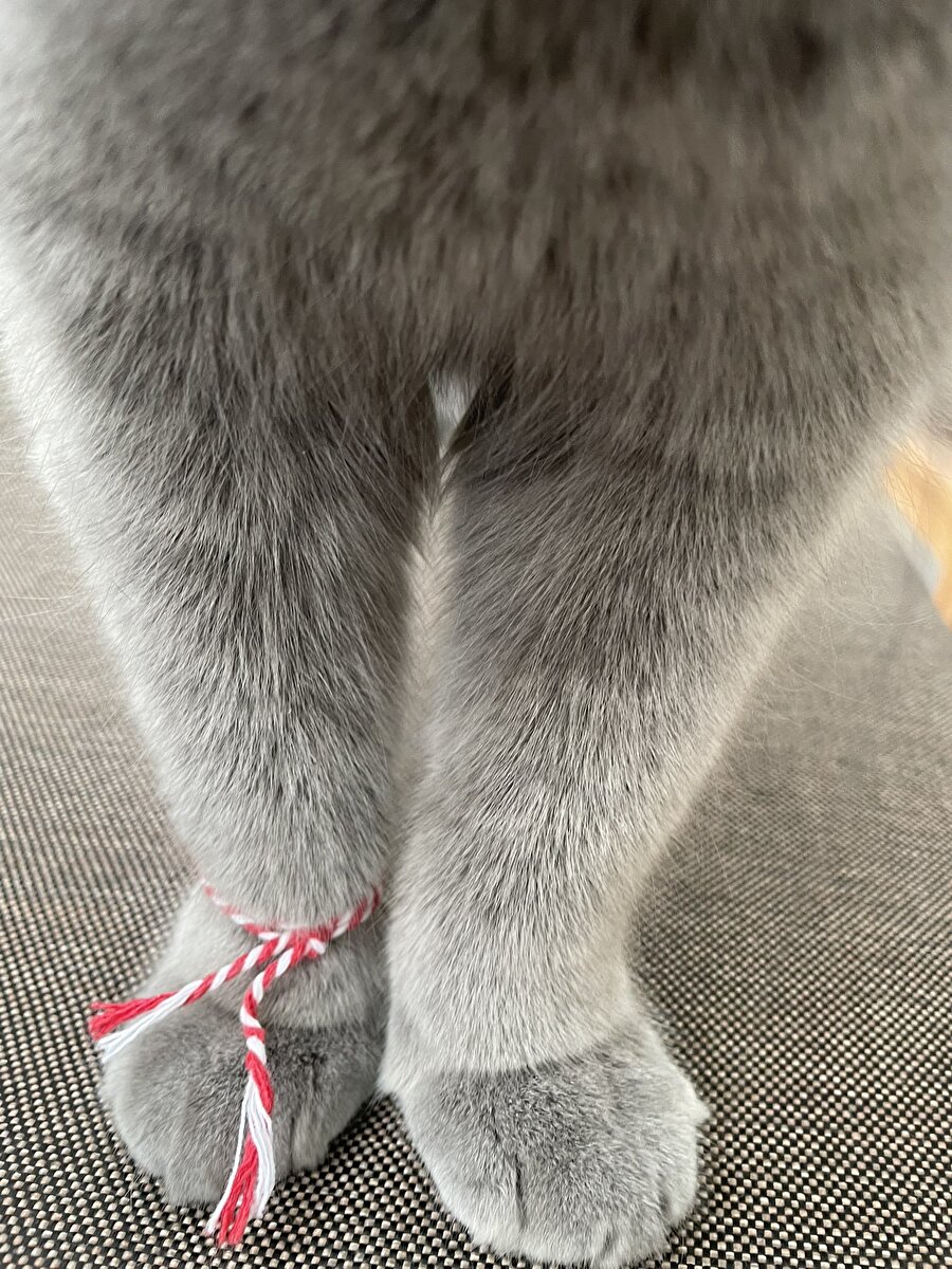 Sadece biz etki altında kalmıyormuşuz